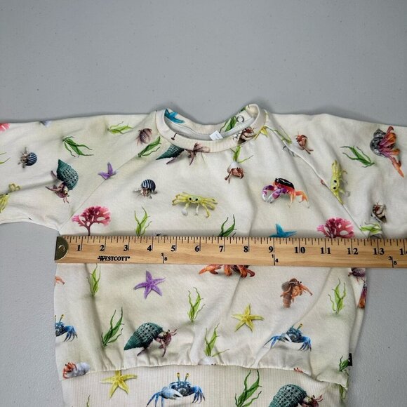 Molo Baby Disc Hermit Crab Sweatshirt Size 92 US 2 Yrs - Picture 4 of 7